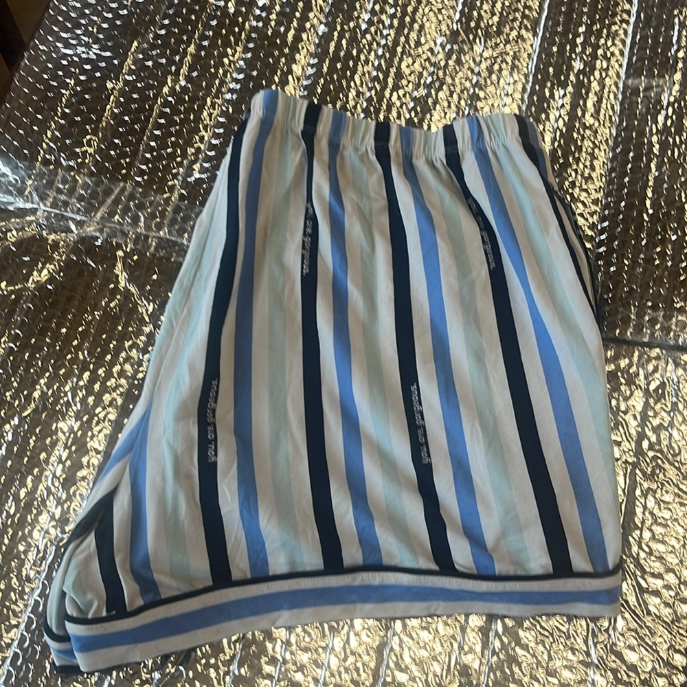 Striped Blue and White Women's Shorts - Picture 3 of 3